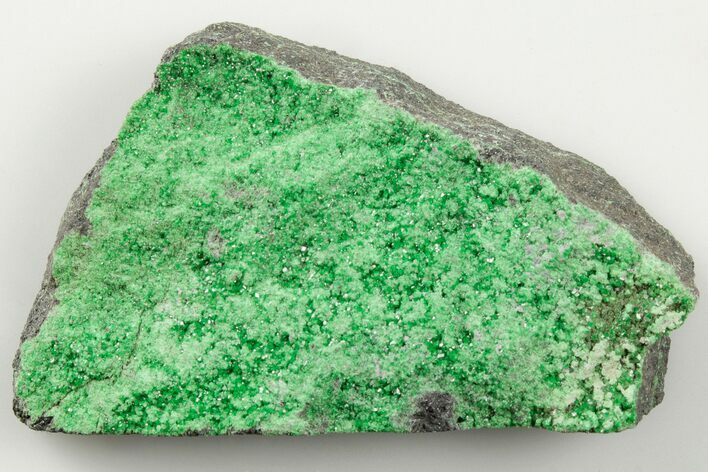 Green Uvarovite (Garnet Group) Cluster - Russia #195641